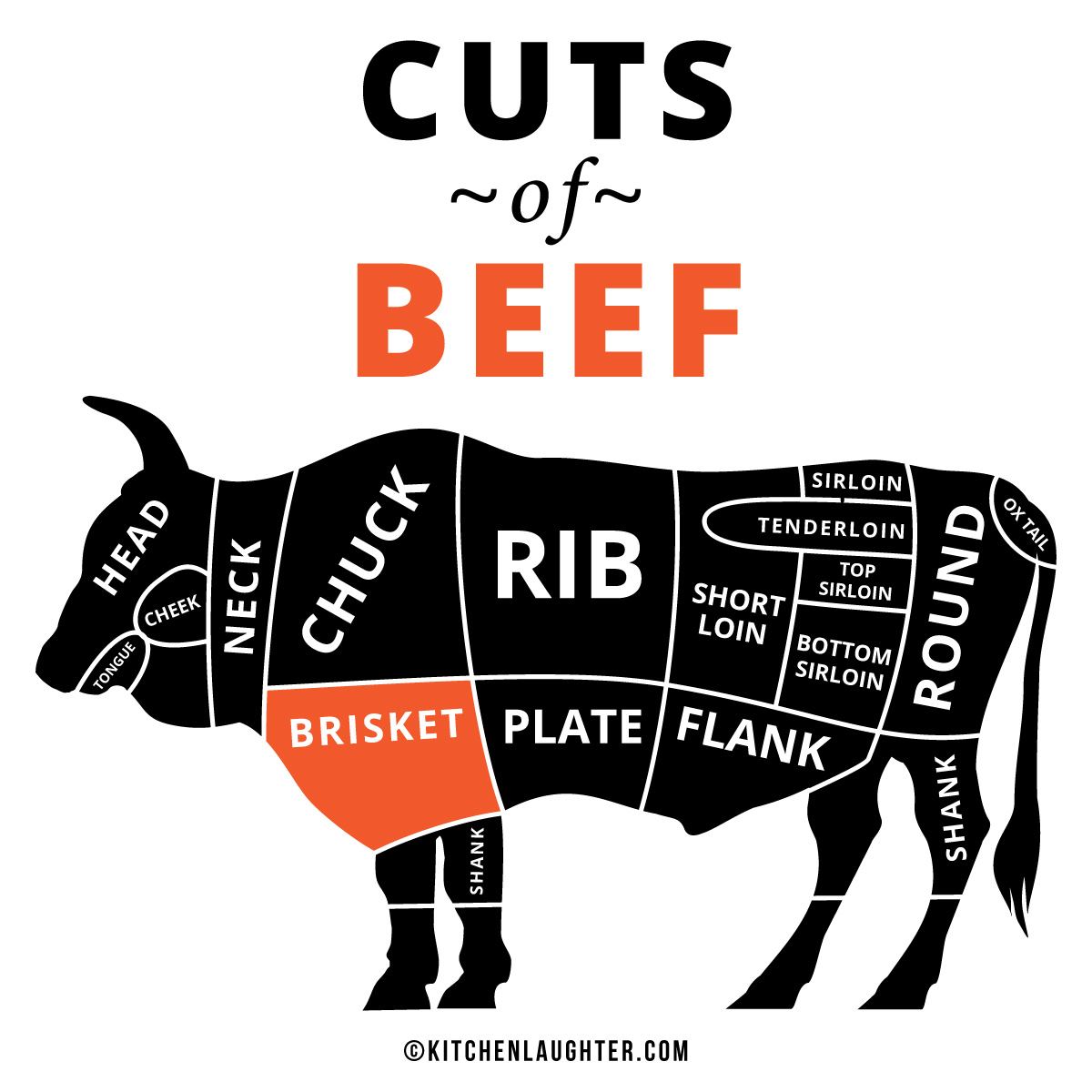 What Part of the Cow Is Brisket: Understanding Beef Anatomy