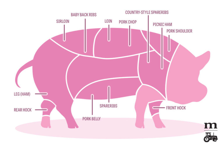 Pork Loin vs Pork Shoulder: Comparing Two Pork Cuts
